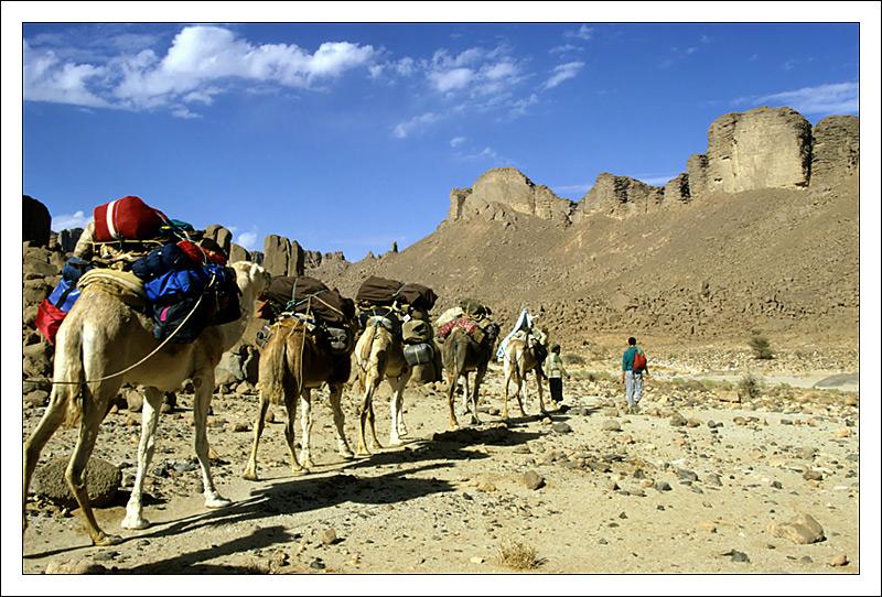 Foto: Al��rsko-Into the Desert