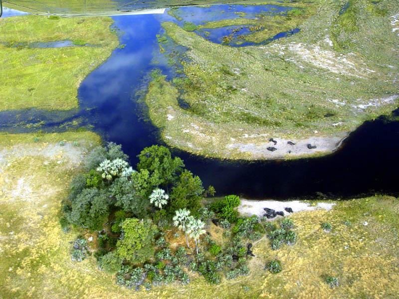 Foto: Botswana-okavango delta