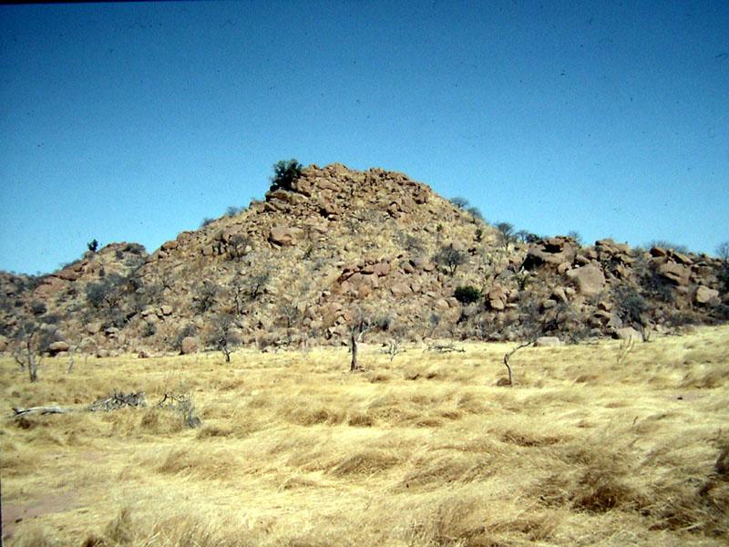 Fotky: �ad (foto, obrazky)