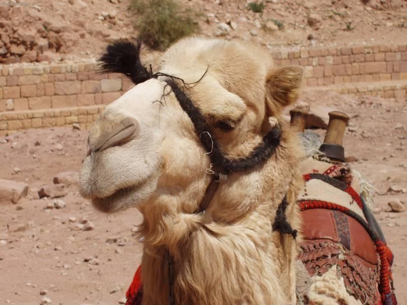 Foto: Jord�nsko-Michael Jackson