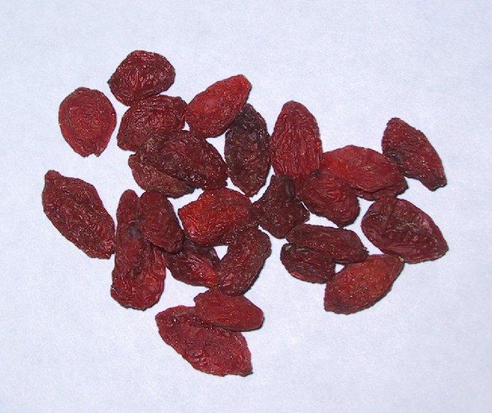 Foto: Kustovnice Ciz�