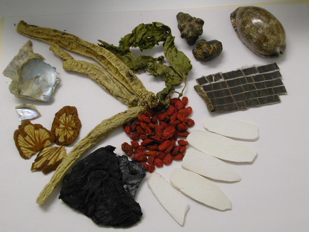 Foto: L��iv� ��inky rostlin