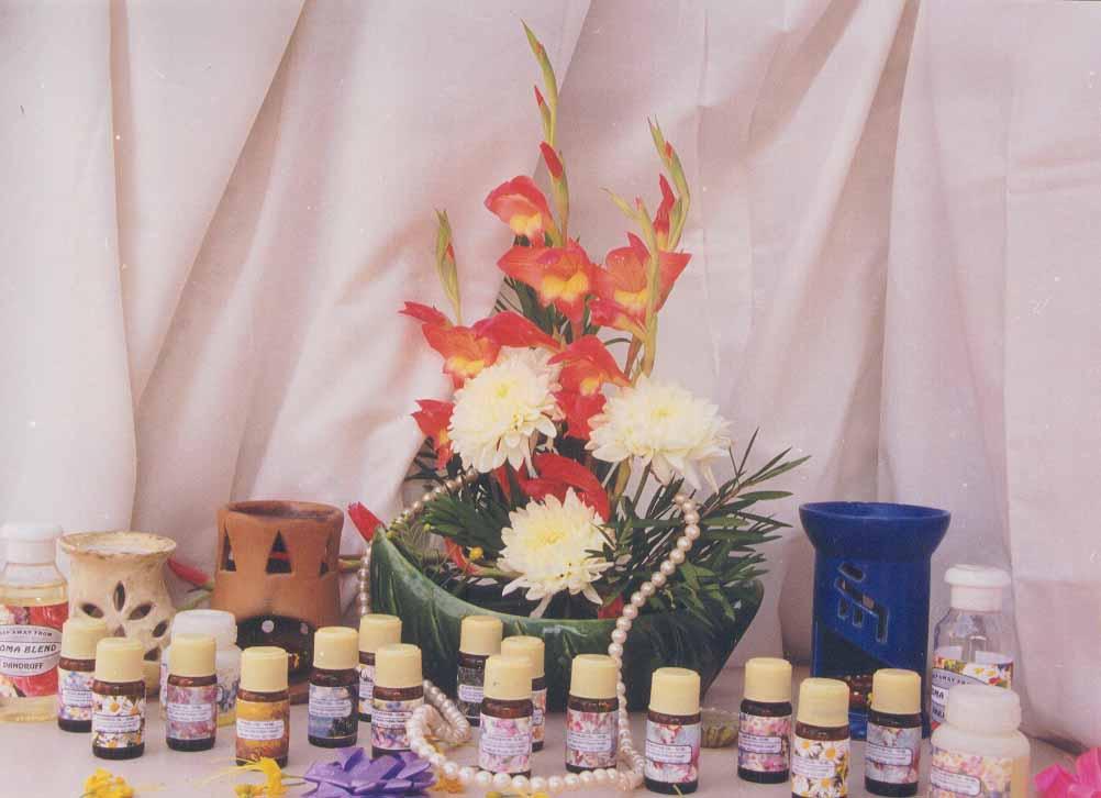 Foto: L��iv� ��inky rostlin