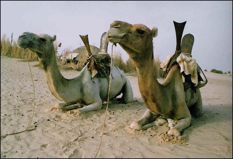 Foto: Mali-Tombouctou