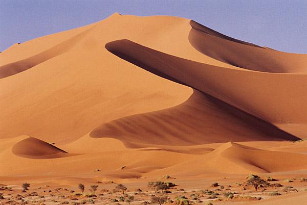 Foto: Namibie-Deadvlei