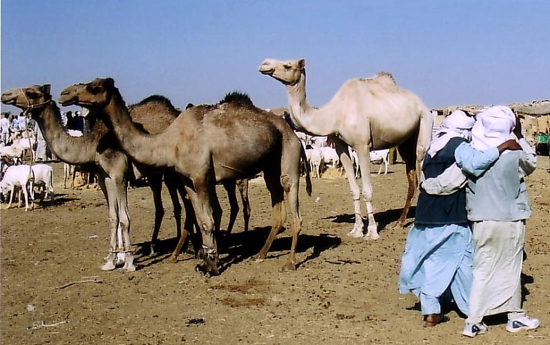 Foto: Niger-Agadez