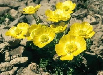 Foto: Prysky�n�k