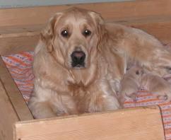 Foto: Rady chovatel�m ps�