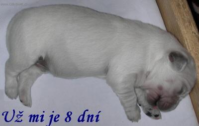 Foto: �t�n� a v�e o n�m