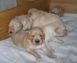 Foto: �t�n� a v�e o n�m