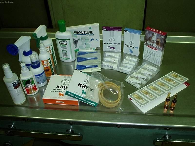 Fotky: Vn�j�� parazit� psa (foto, obrazky)