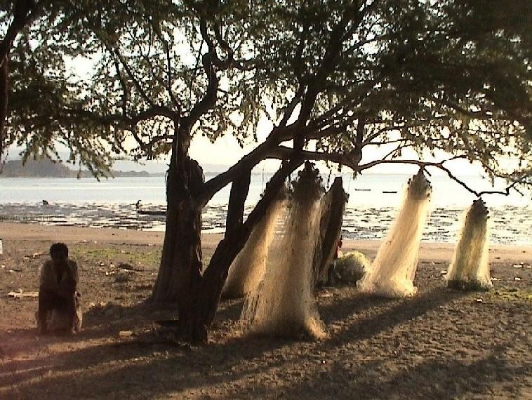 Foto: V�chodn� Timor-Dili