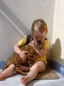 Beng�lsk� ko�ka, leopard� ko�ka