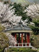 Fotky: Ji�n� Korea (foto, obrazky)