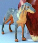 Ps� plemena:  > Maratsk� loveck� pes (Mahratta Greyhound)