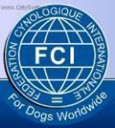 Ps� plemena:  > Mezin�rodn� organizace ps� (International organizations and federations handlers)