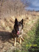 N�meck� ov��k