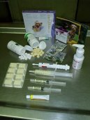 :  > Od�erven� ps� (�krkavky, tasemnice, giardi�za a kryptospor�za, toxoplazm�za)