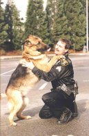 Ps� plemena:  > Potrest�n� pejska (trest psa)