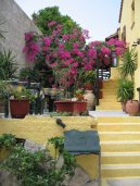 :  > �ecko (Greece)