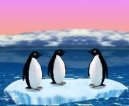 :  > Turbo Penguins (vtipn� free hra on-line)