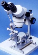 :  > Um�l� inseminace (Veterin�rn� rady)