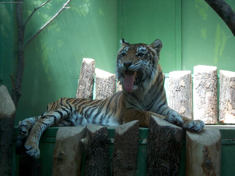 Foto: Zoo Praha