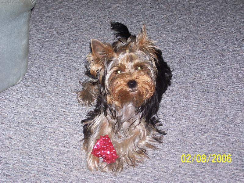 Foto: Bessy