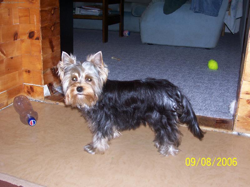 Foto: Bessy