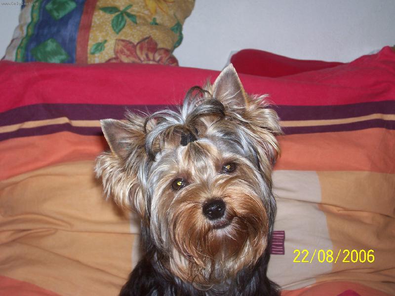 Foto: Bessy