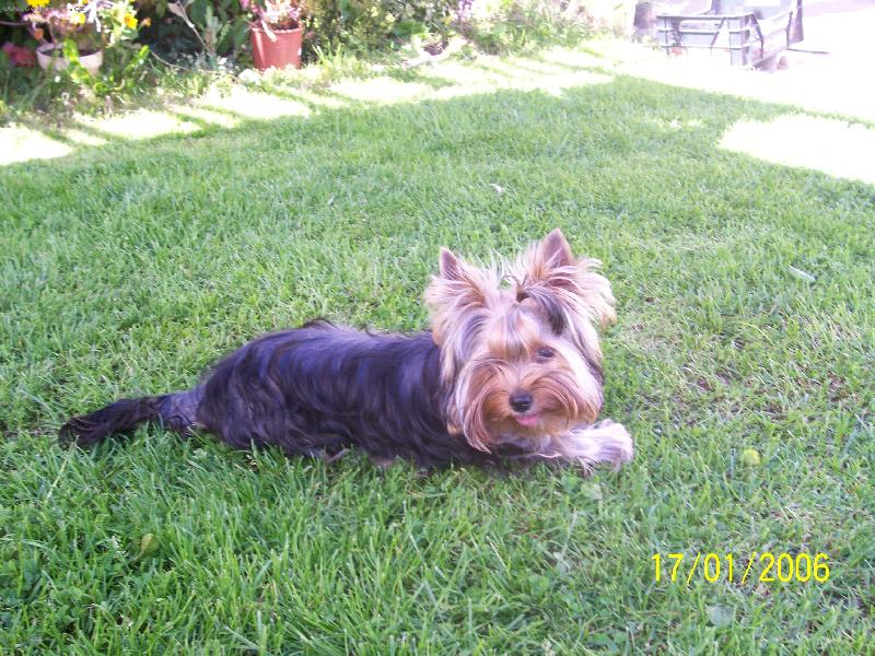 Foto: Bessy