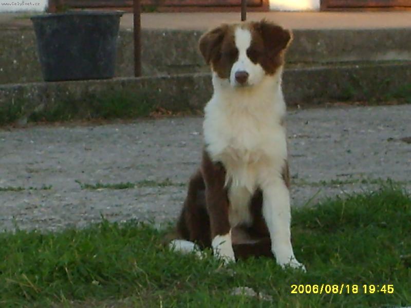 Foto: Cokolada