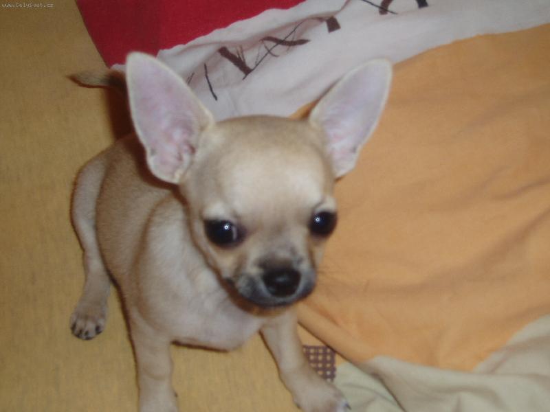 Foto: Sammy-kUk:)