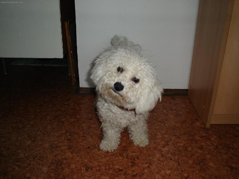 Foto: jessy