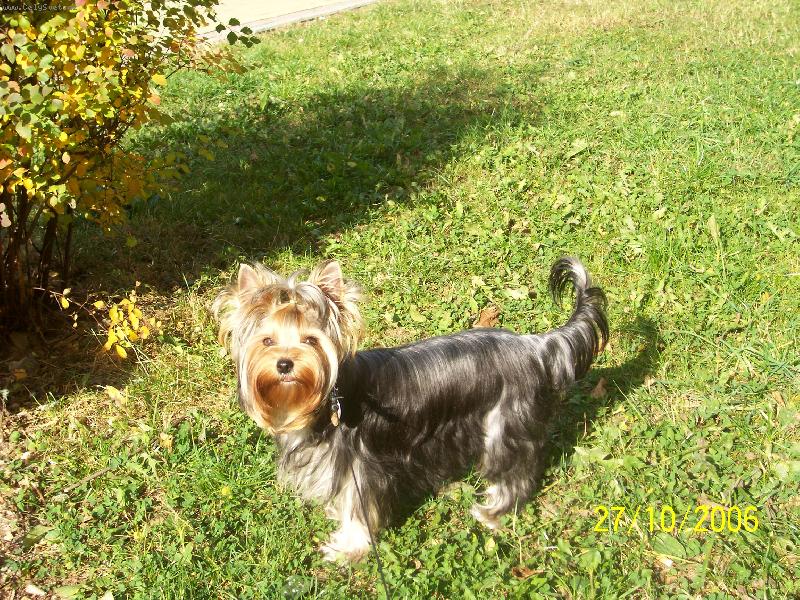 Foto: Bessy