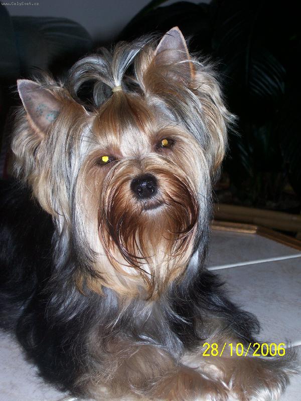 Foto: Bessy
