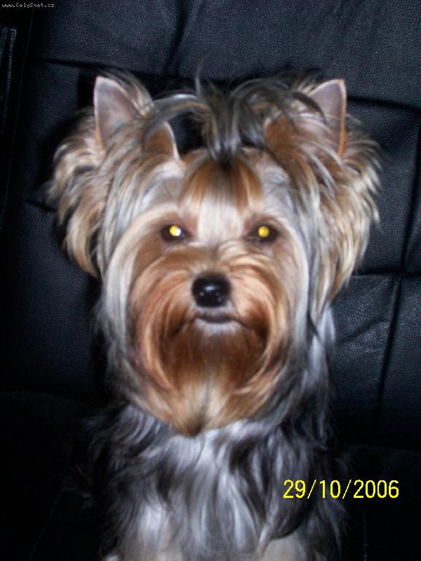 Foto: Bessy