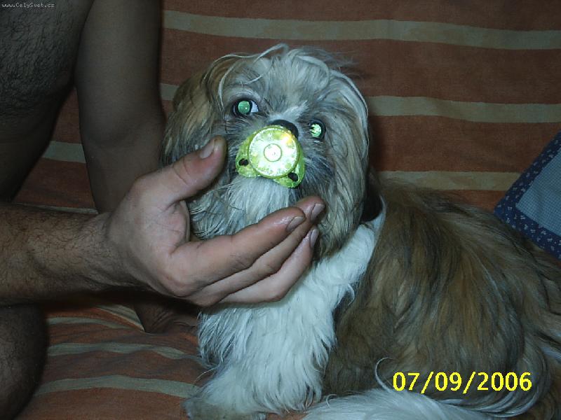 Foto: cas jit spat!
