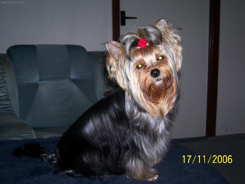 Foto: Bessy