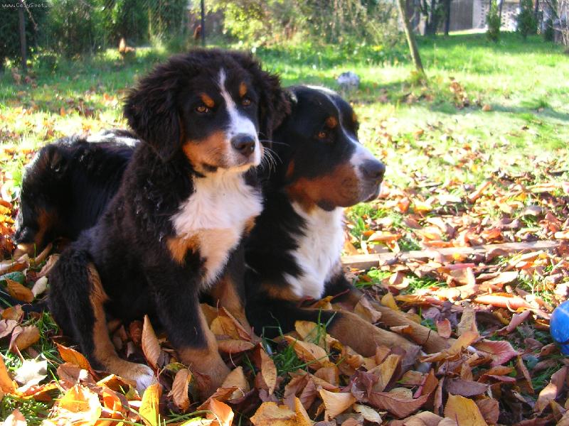 Foto: Max a Sam