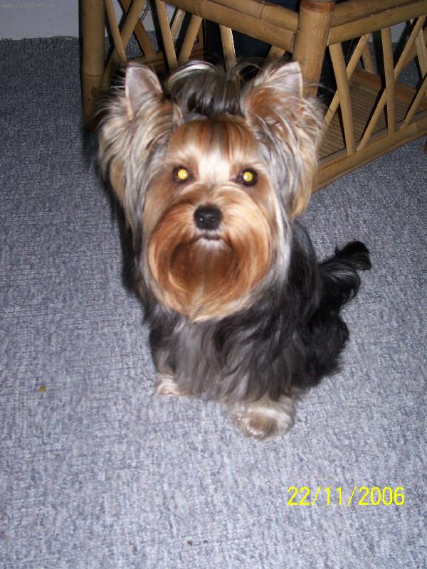 Foto: Bessy