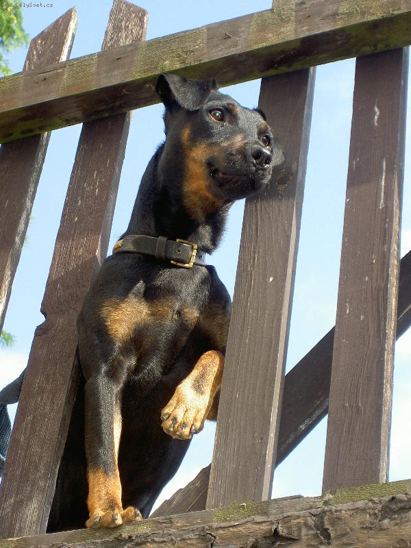 Foto: Argo