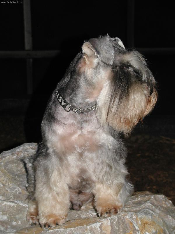 Foto: Poza