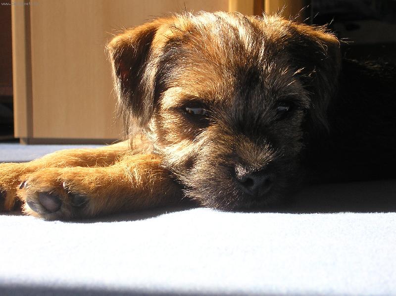 Foto: Rusty