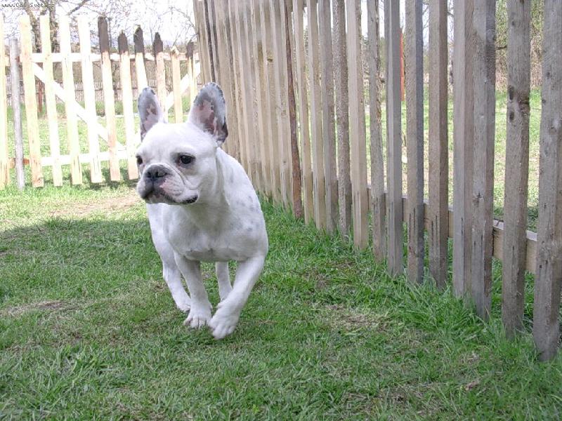 Foto: ORINKA