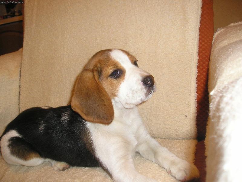 Foto: Bessynka