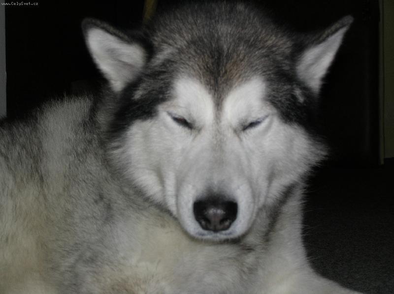 Foto: Argon