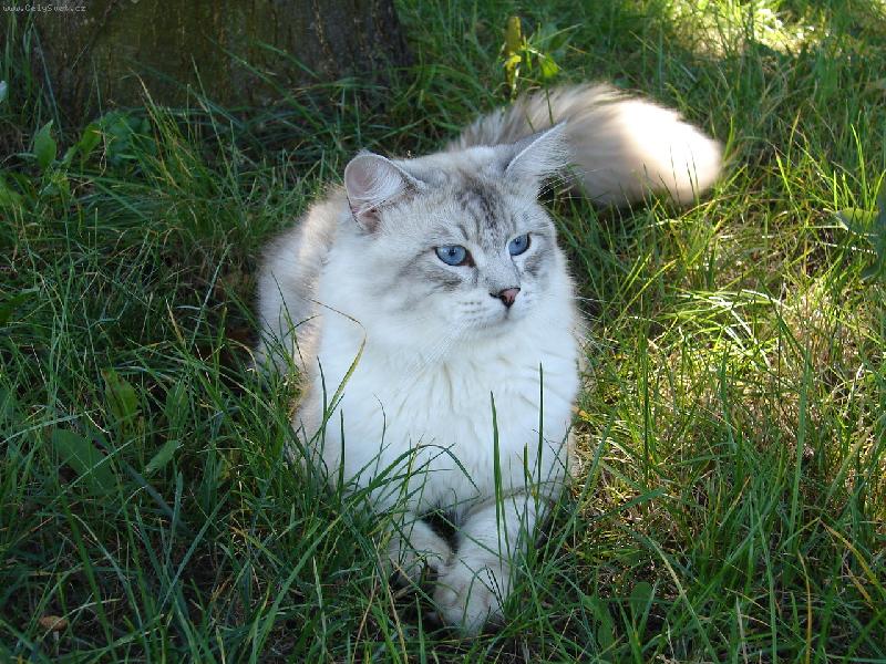 Foto: Anton