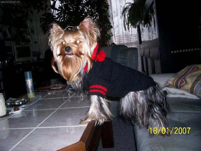 Foto: Bessy