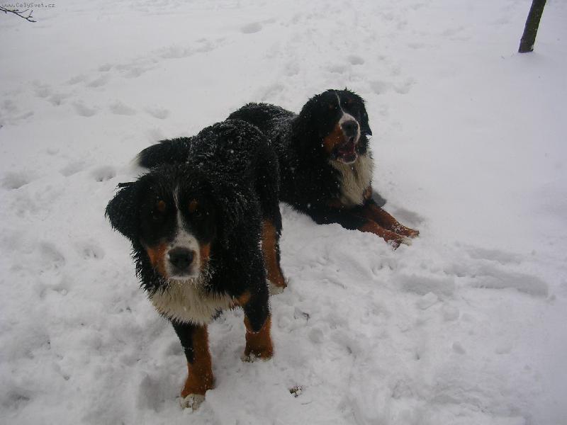 Foto: Max a Sam